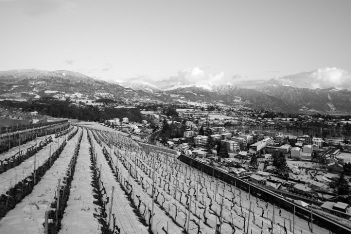 Fin de journée dans le Lavaux - 018